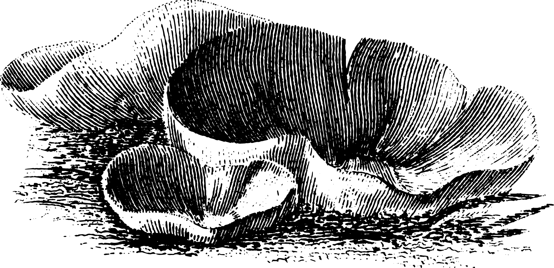 botanical