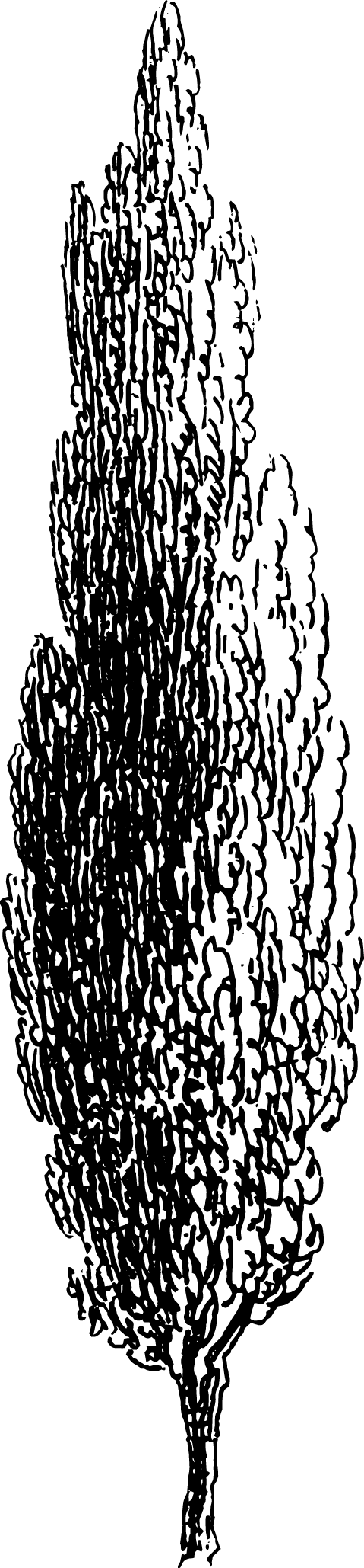 botanical