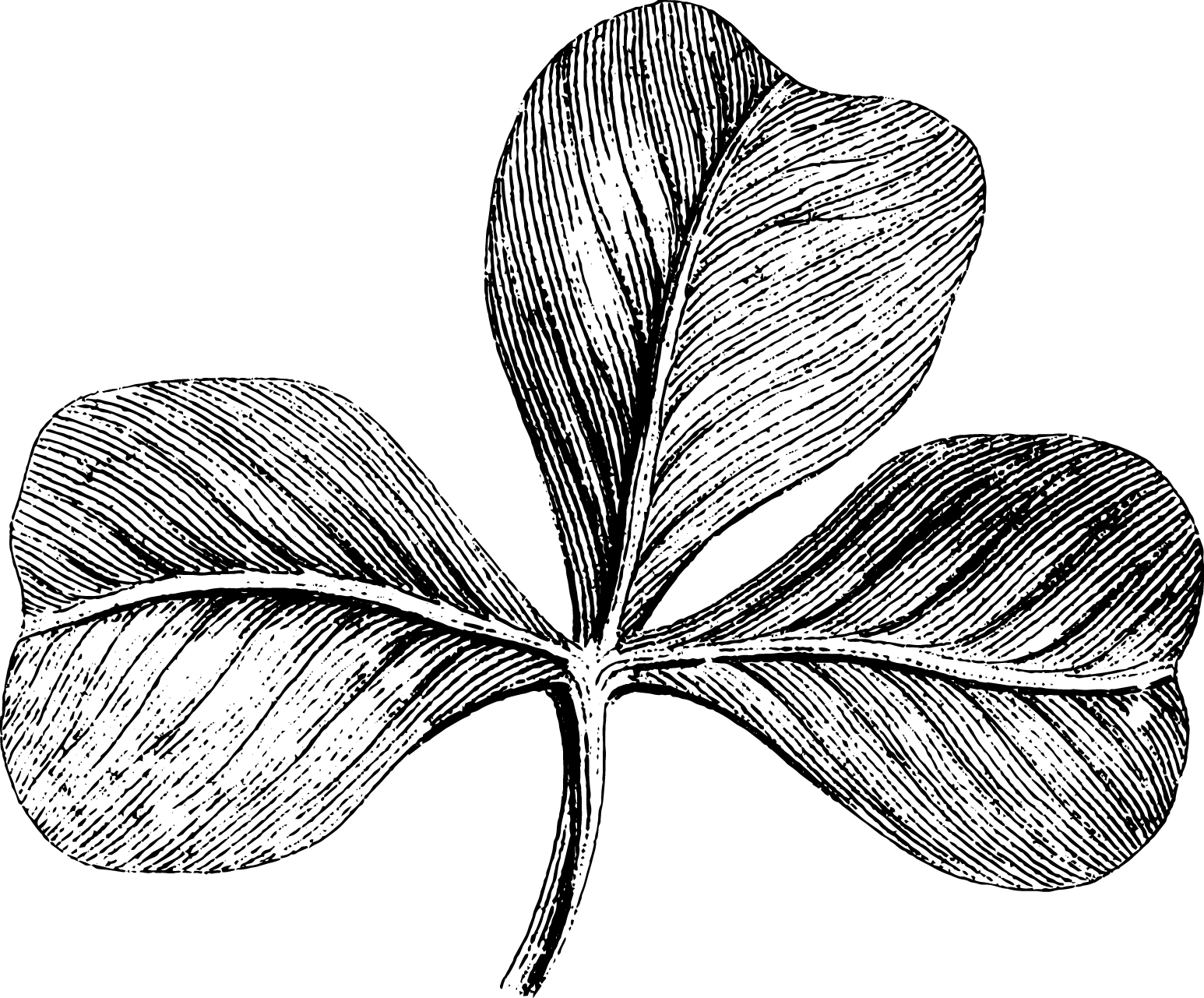 botanical