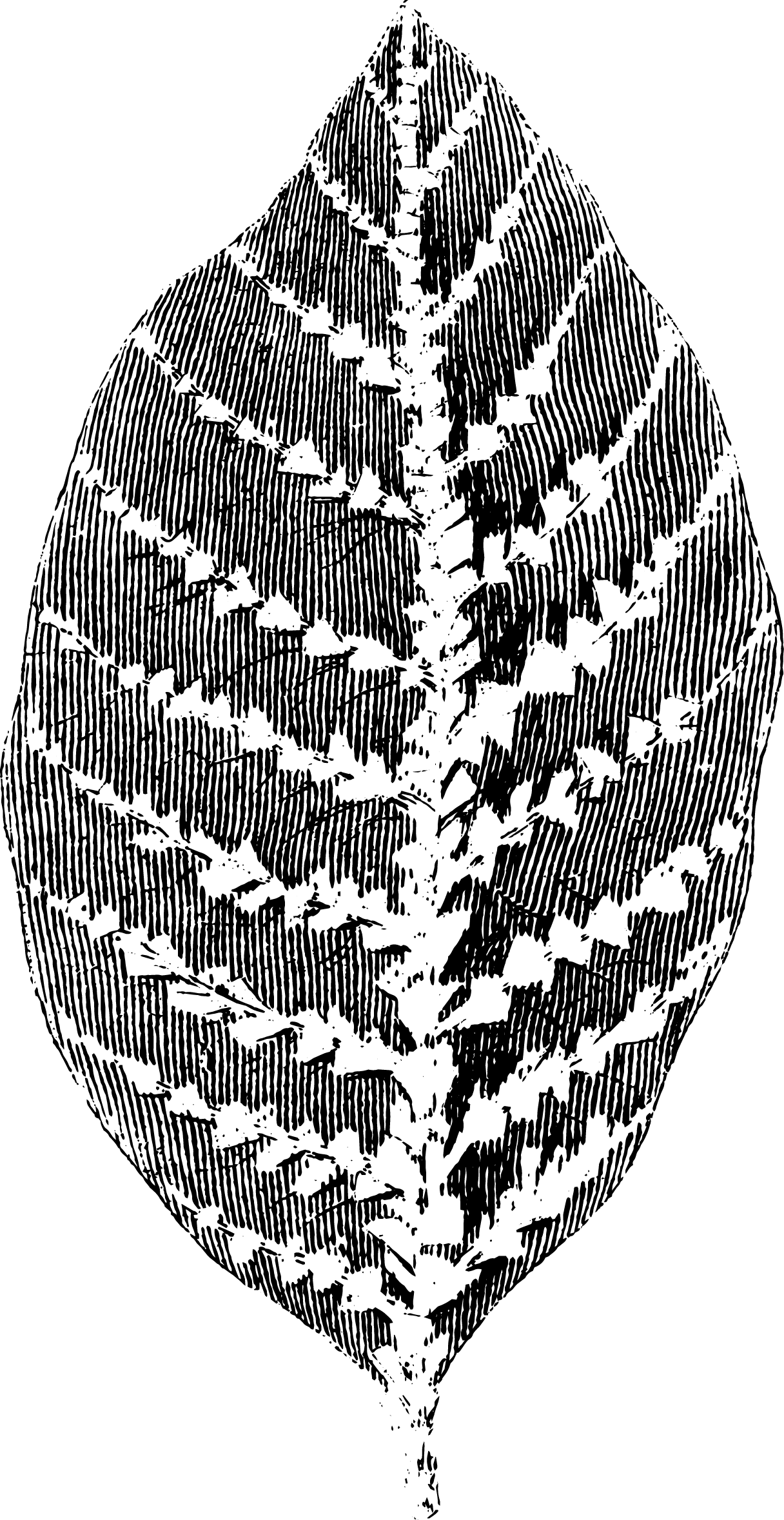 botanical
