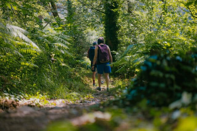 Randonnée au fil des sentiers - Madoline Bauthamy