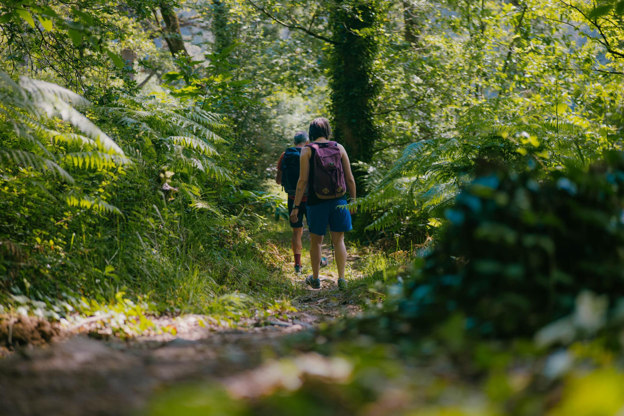 Randonnée au fil des sentiers - Madoline Bauthamy