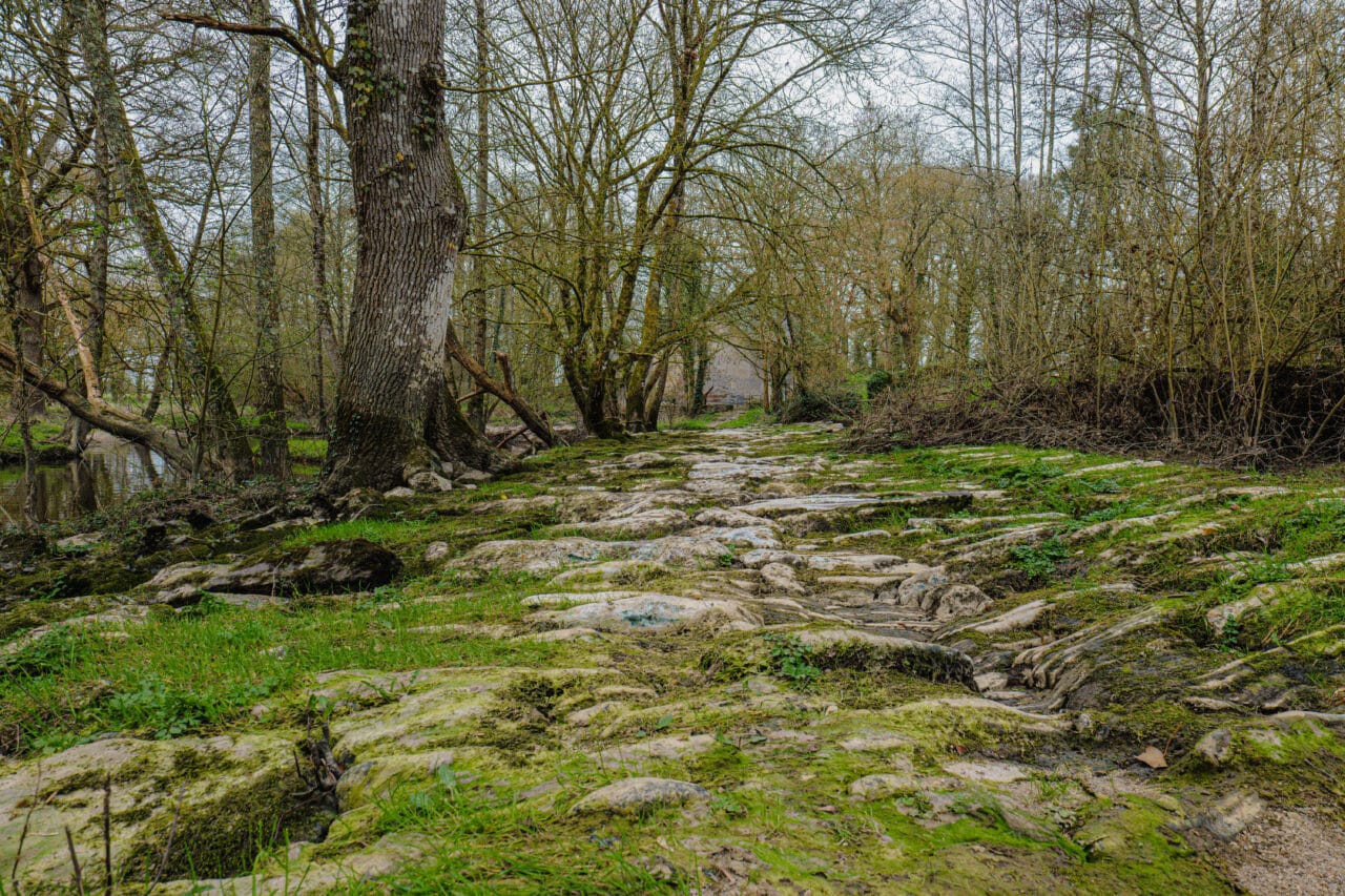 conquereuil voie romaine bauthamy madoline 7