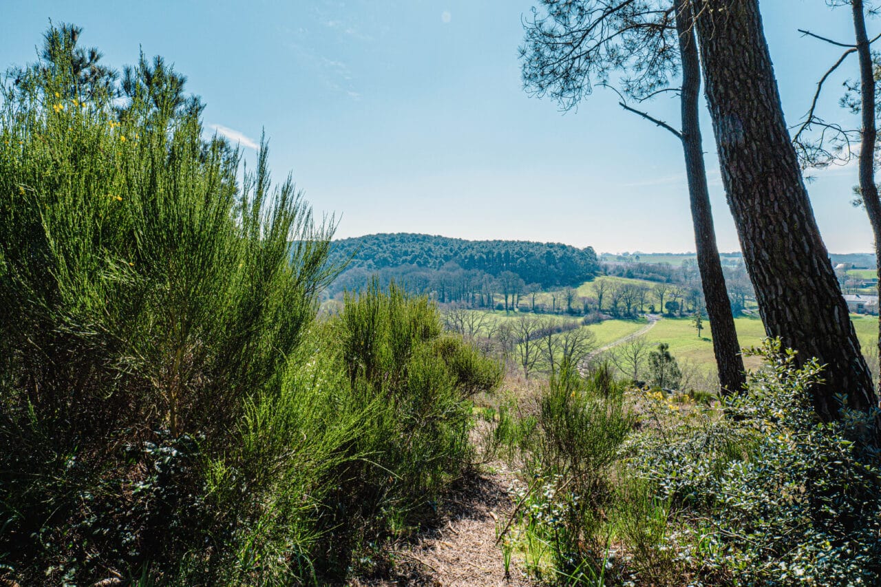 Vallée du Don depuis les Rocs de Gascaigne - Madoline Bauthamy