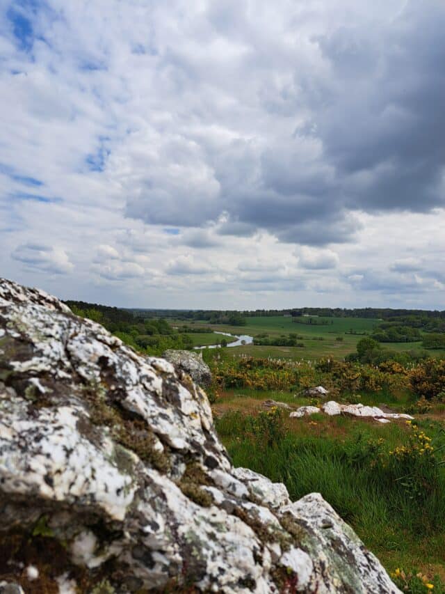 Rocher du Veau à Avessac - Morgane Masson