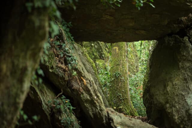 France, Ille-et-Vilaine (35), Saint-Just, le dolmen de Treal
