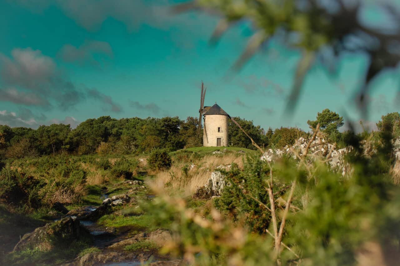Les moulins de Saint-Jacut-les-Pins - Madoline Bauthamy