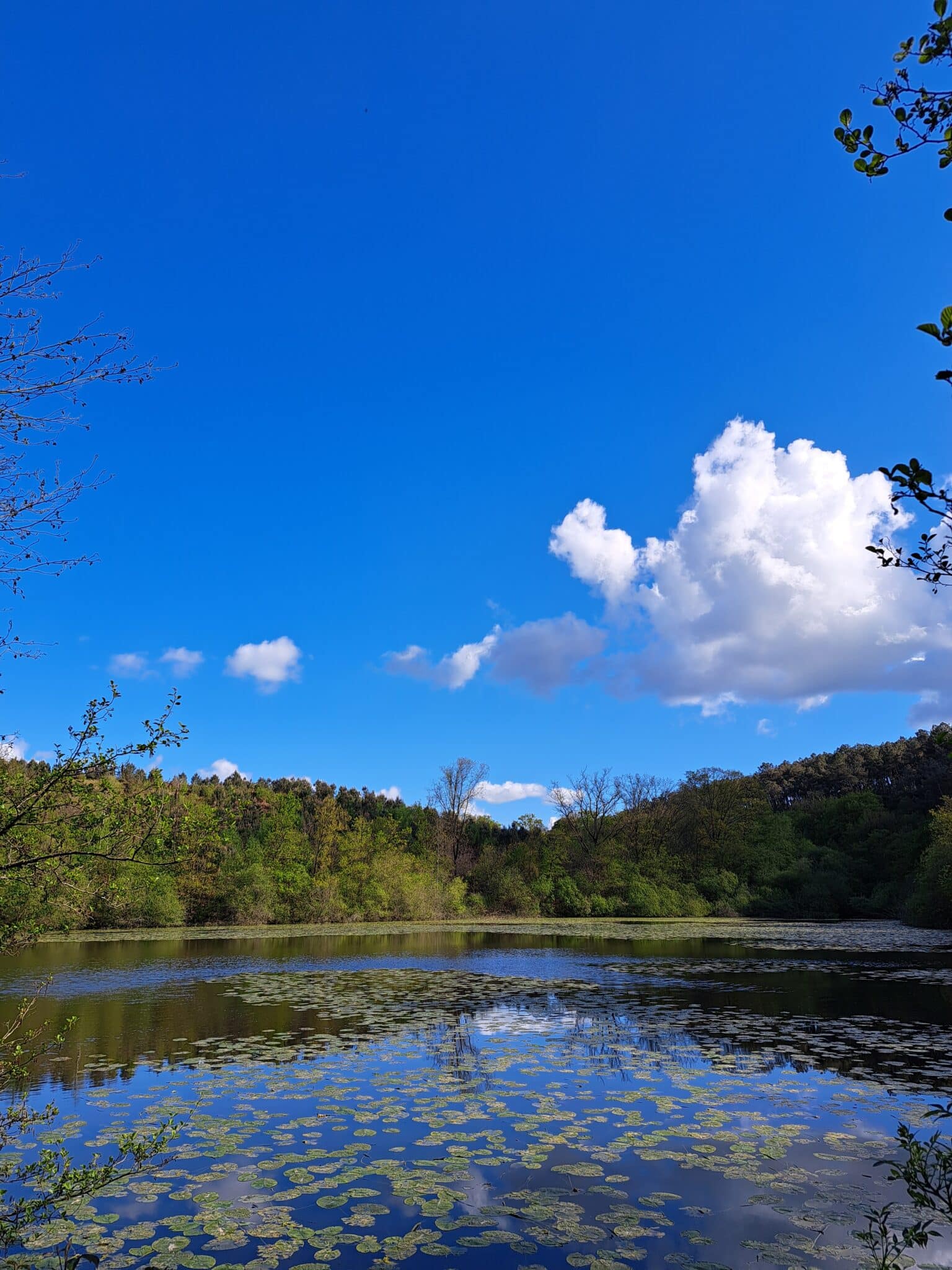 vallee du don otpr 2024 7 scaled