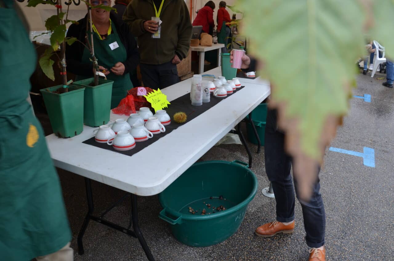 bogue dor 2024 otpr 14