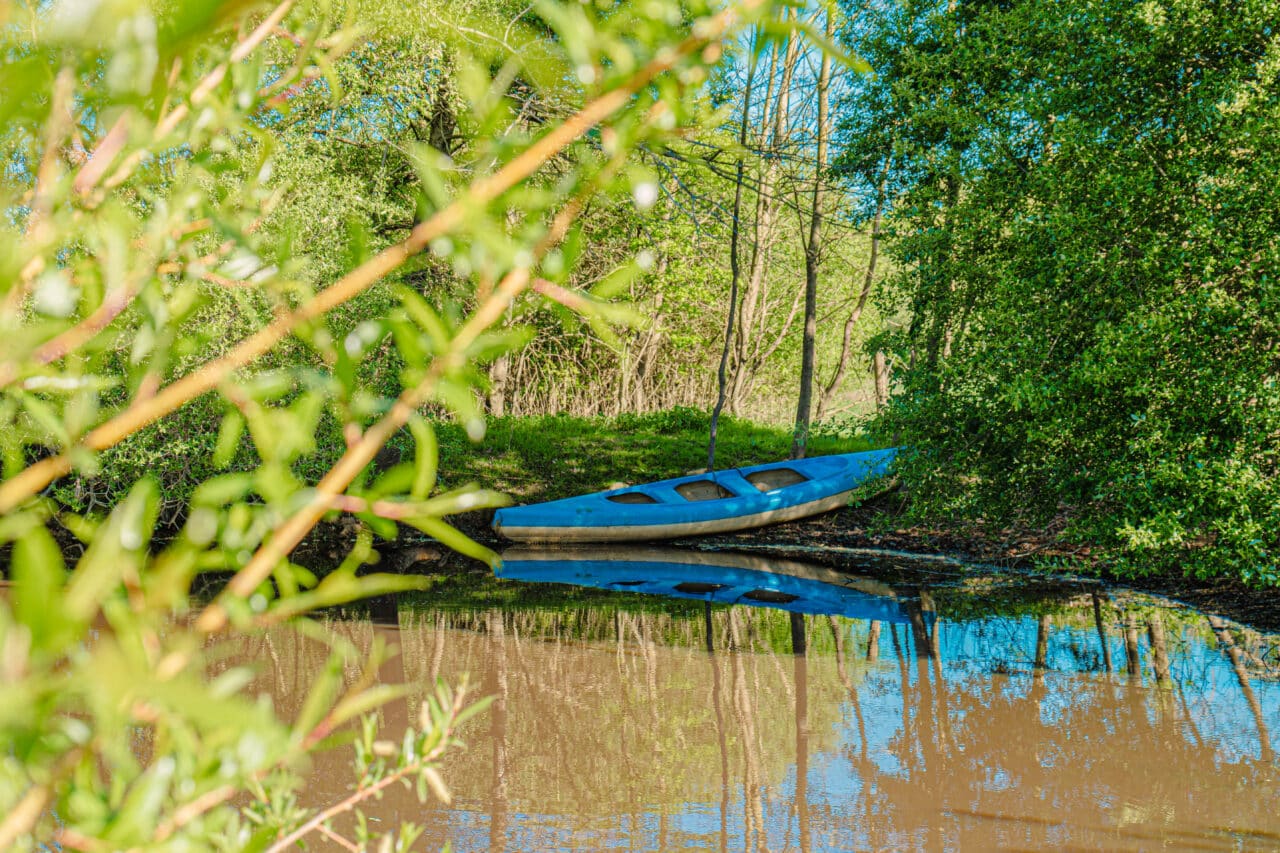 Marais de Gannedel - La Chapelle-de-Brain - Madoline Bauthamy