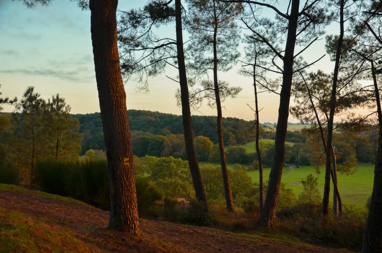 Les Rocs de Gascaigne - L'un des lieux à visiter dans nos idées séjours - Morgane Busnel-Masson