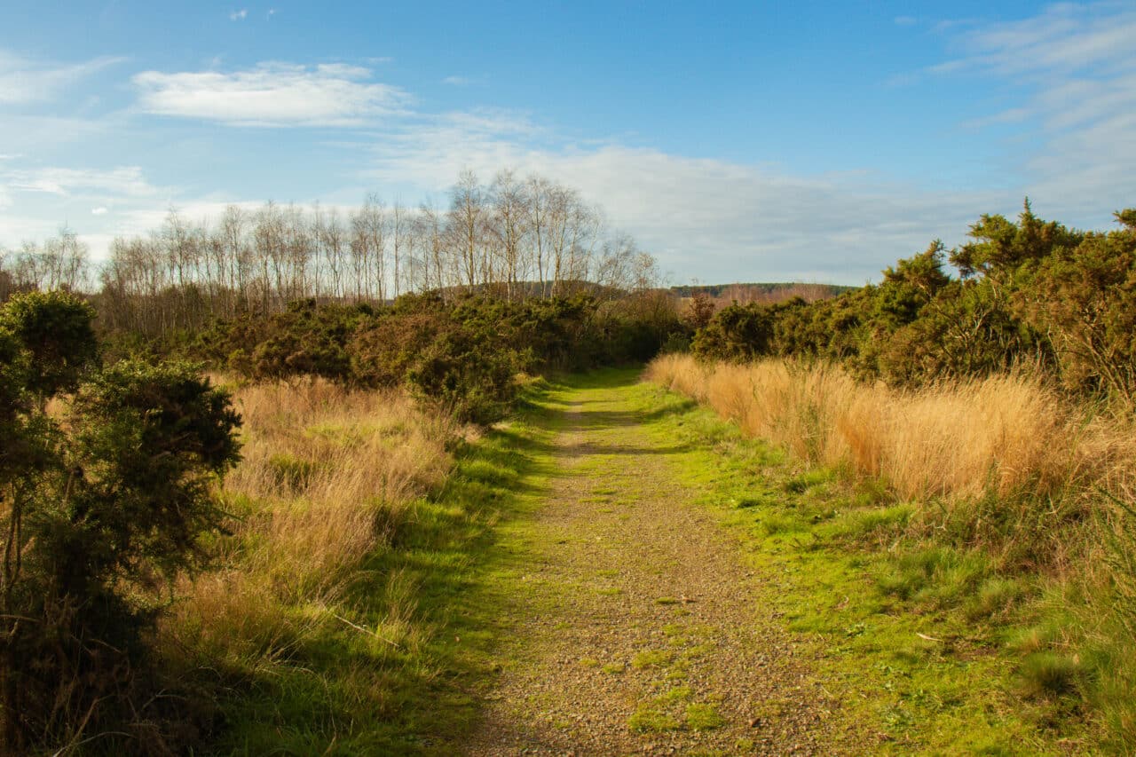 Les landes de Cojoux © Madoline Bauthamy