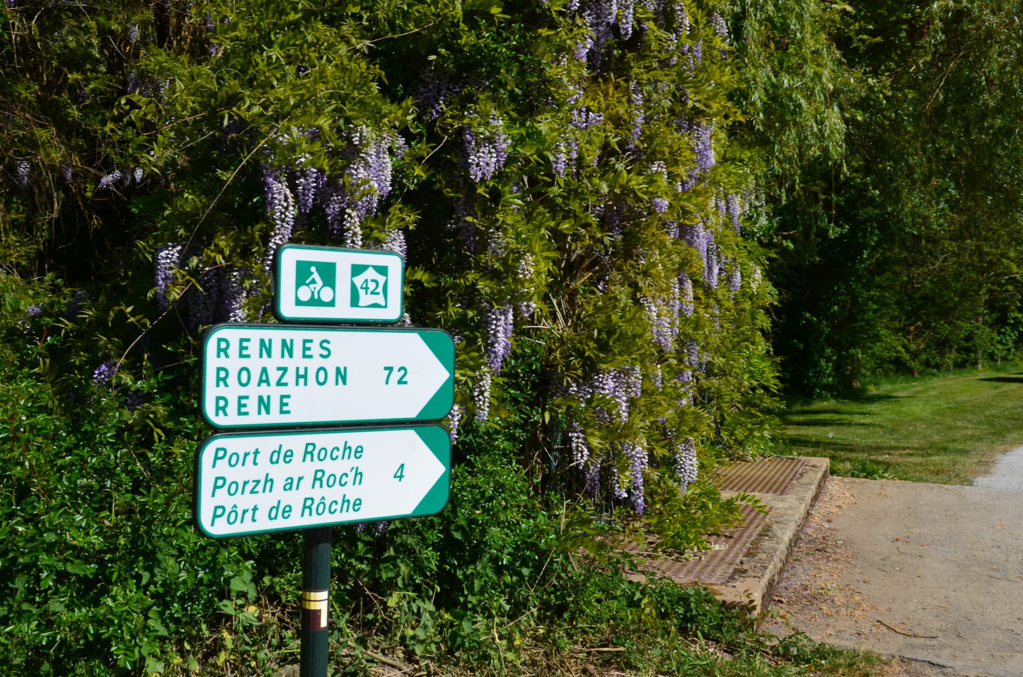 La v42 à Brain-sur-Vilaine © Morgane Busnel Masson