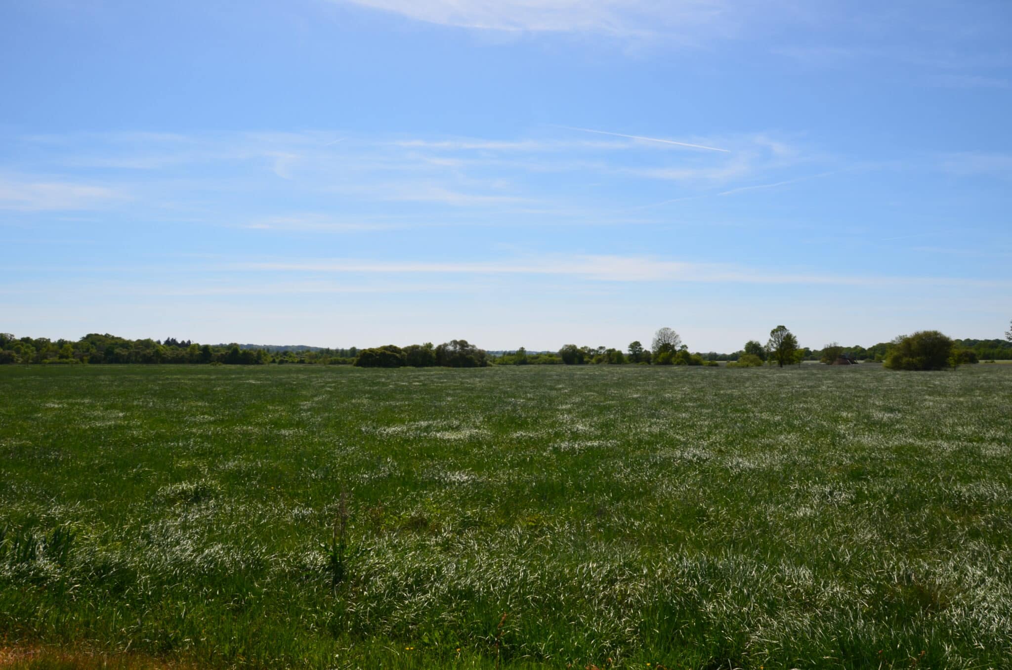 Massérac © Morgane Busnel Masson