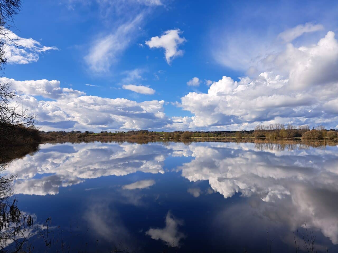 Marais à Massérac © Morgane Busnel Masson