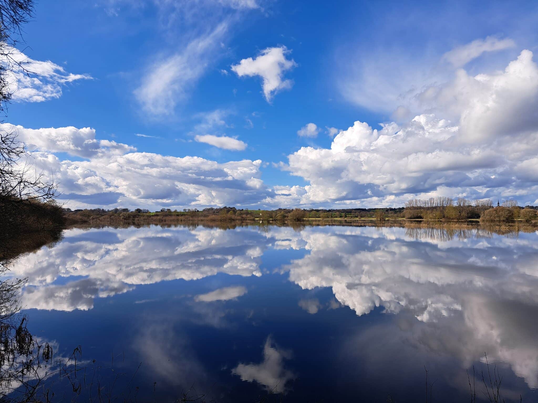 Marais à Massérac © Morgane Busnel Masson