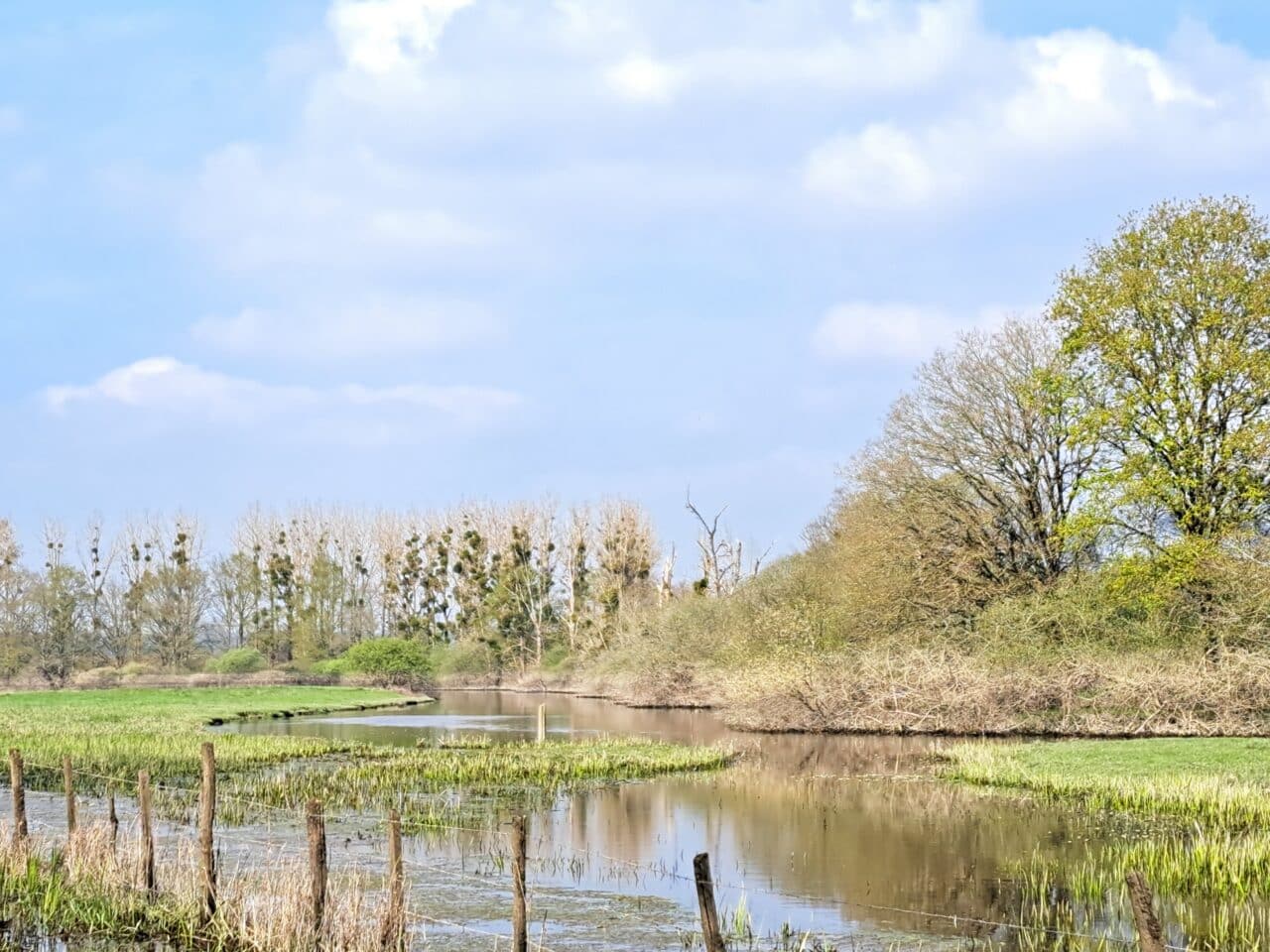 Marais de Gannedel © Anne Le Masson