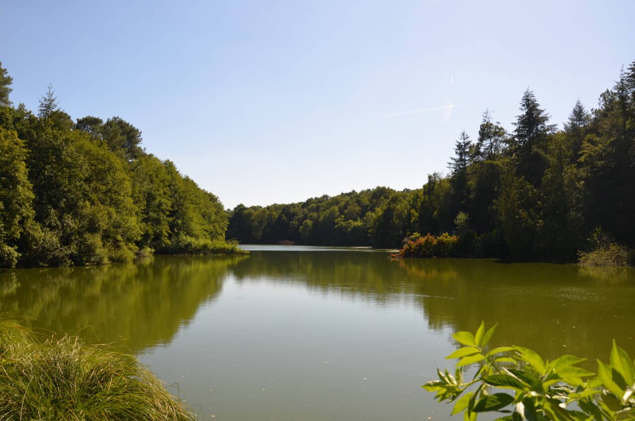 allaire etang de quip nathalie guillemain 6