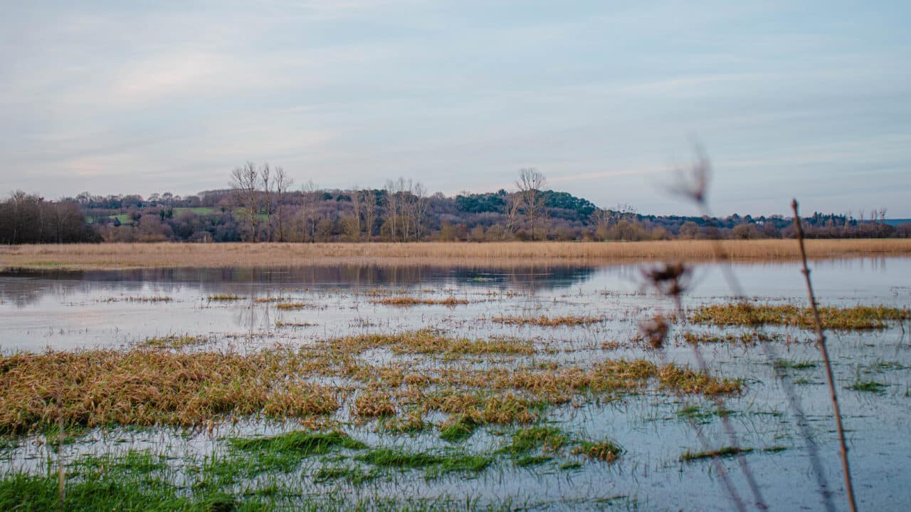 avessac les marais bauthamy madoline 17