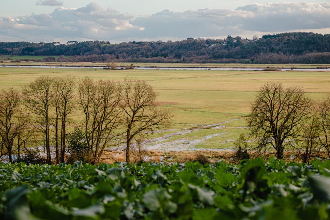 beganne les marais de beganne bauthamy madoline 4