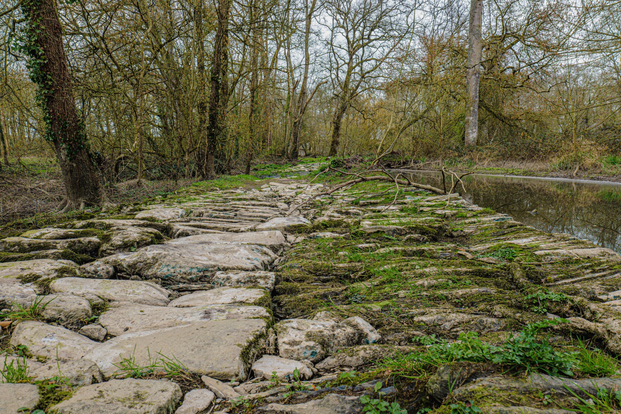 Voie romaine, Conquereuil © Madoline Bauthamy