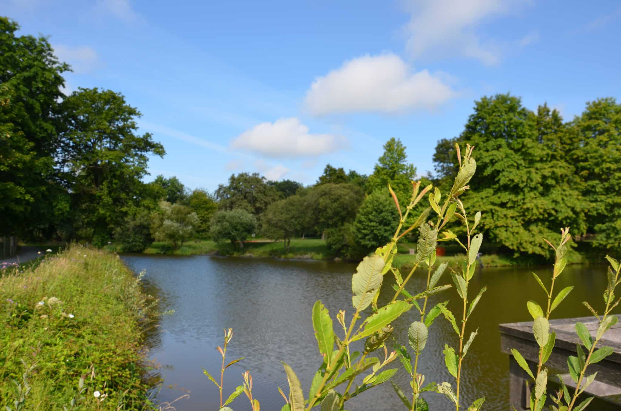 etangs de couesle allaire otpr 2024 17 scaled