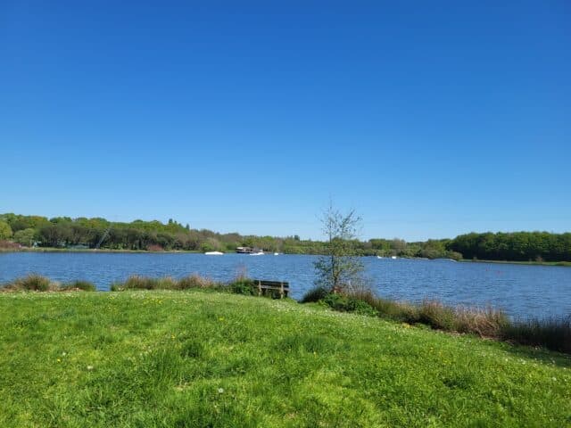 L'étang de Buhel à Plessé © Théau Lesné