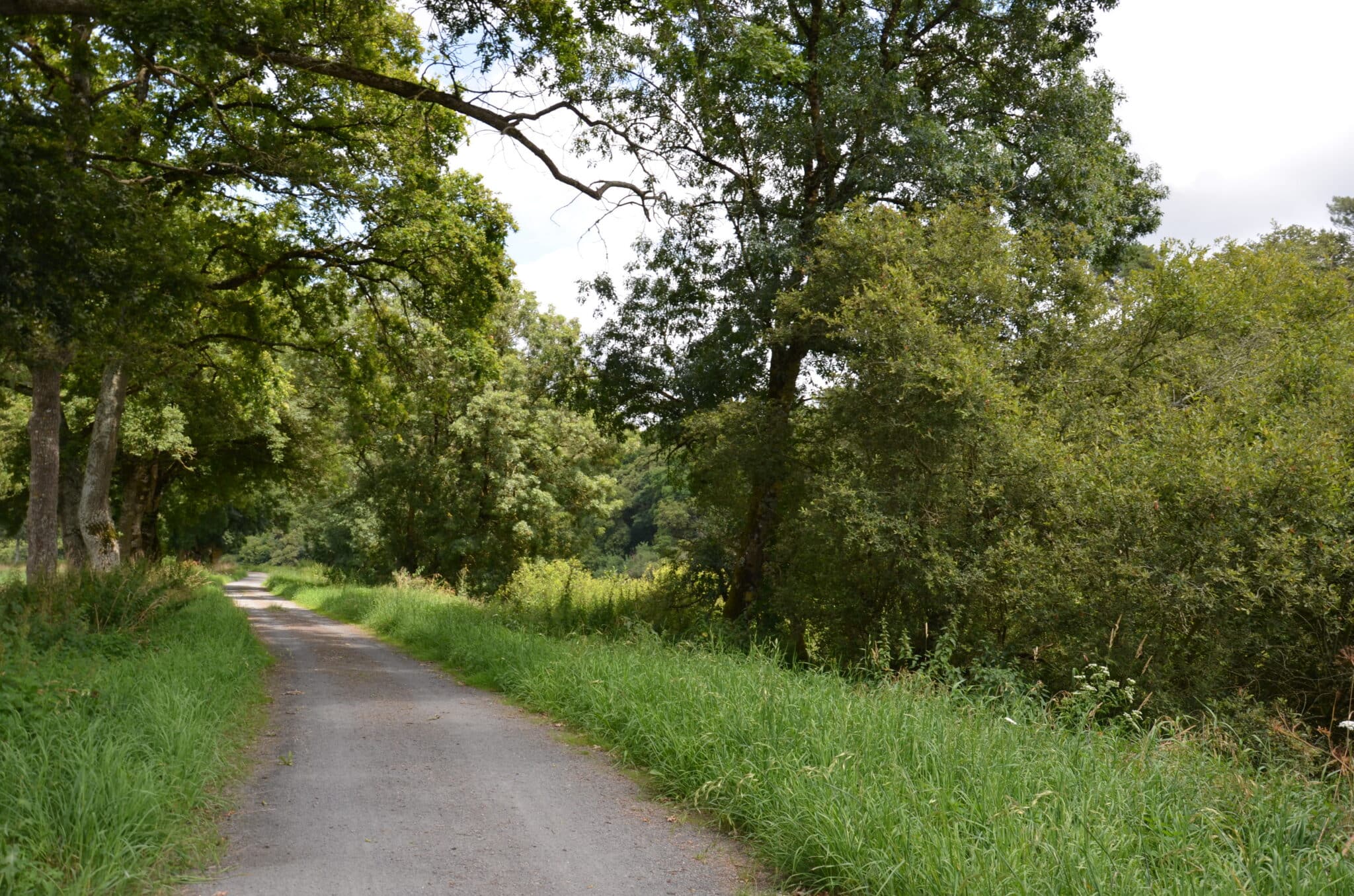 La Vilaine, le long de la V42 à Langon © Morgane Busnel Masson