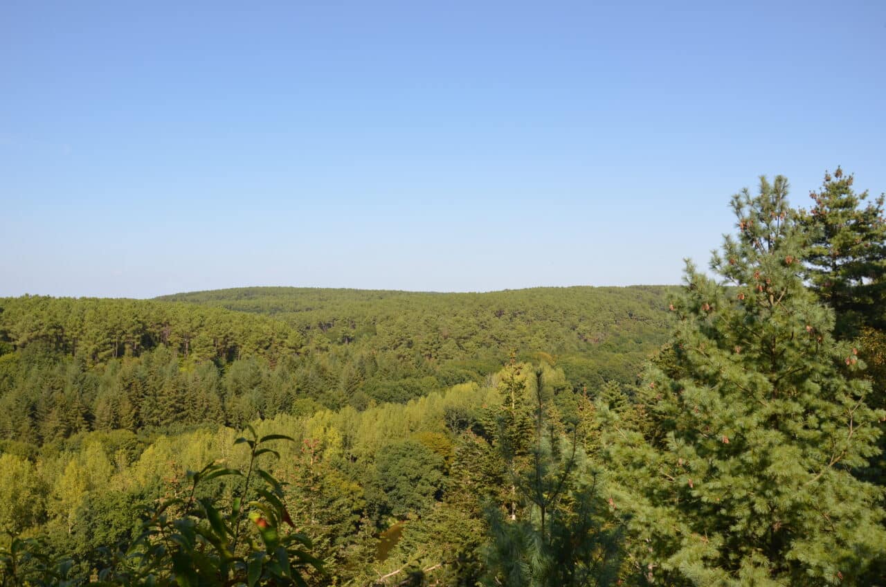 LANGON - Les Corbinieres_nathalie guillemain - 1