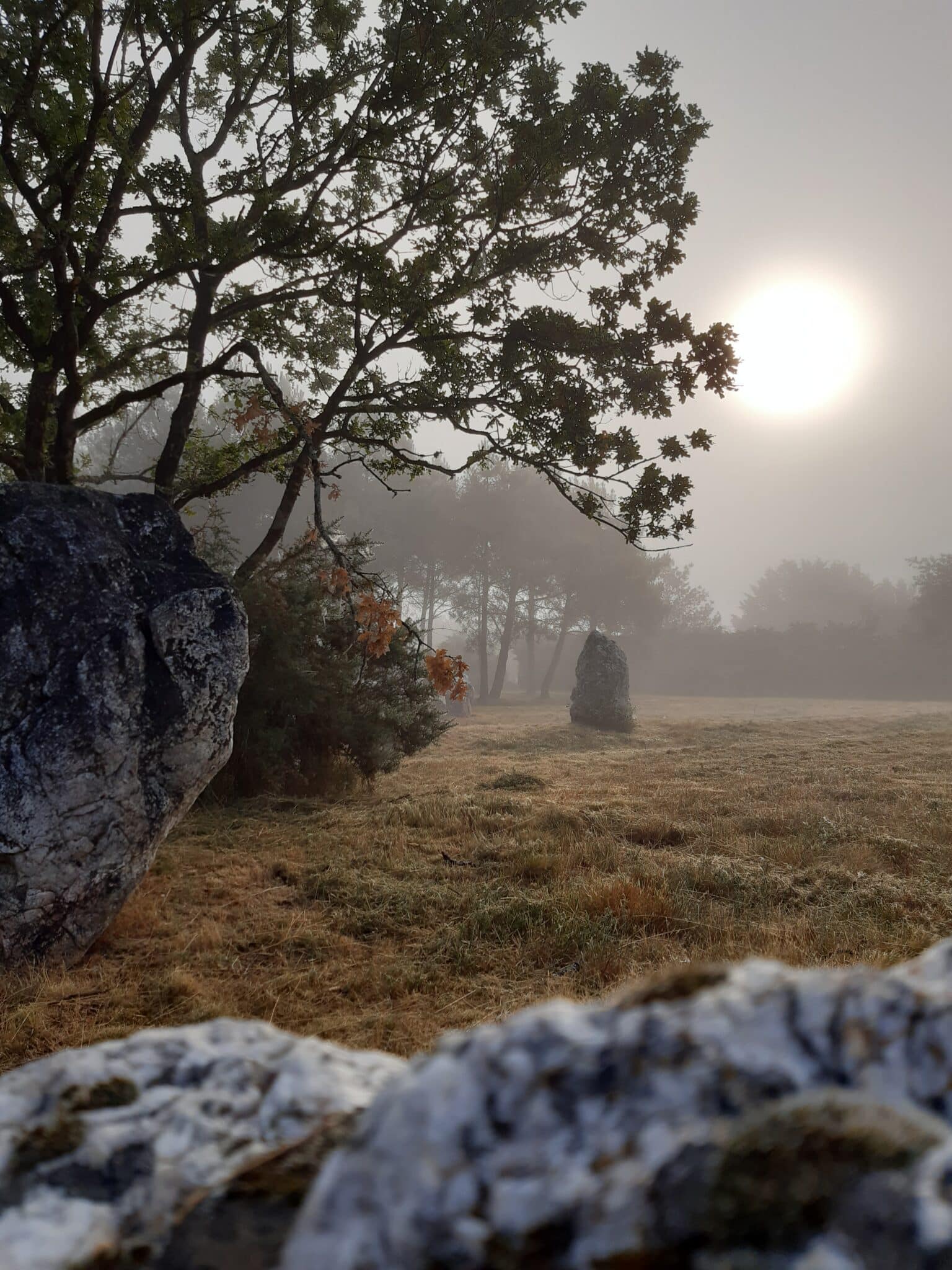 Les demoiselles de Langon © Morgane Busnel Masson