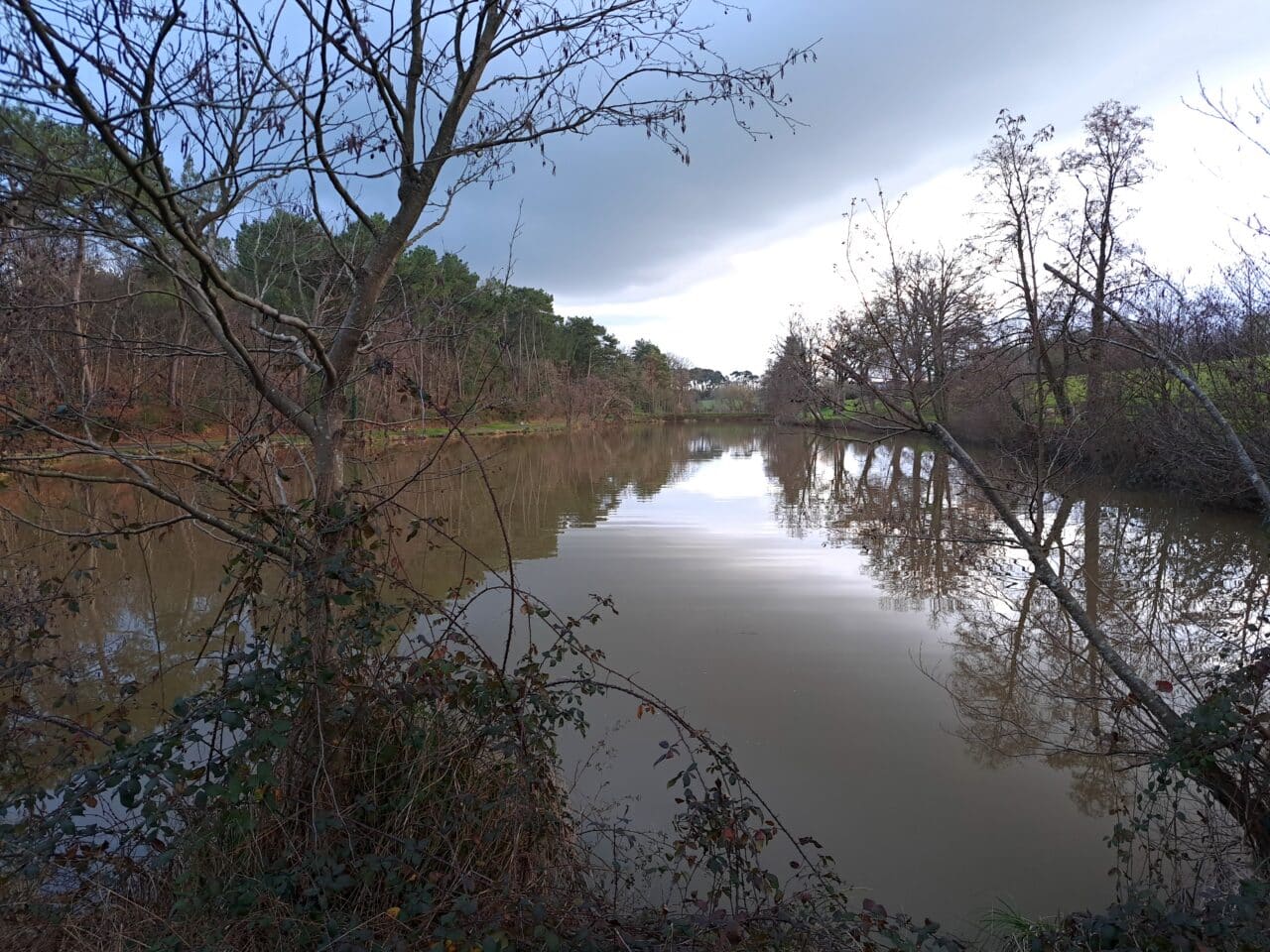 L'étang de la Bodinais © Morgane Busnel Masson