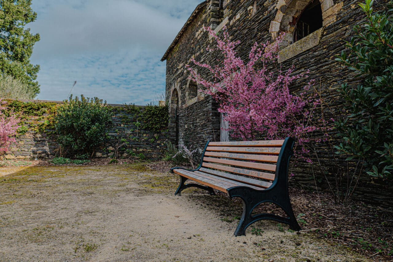 renac le bourg bauthamy madoline 2024 4