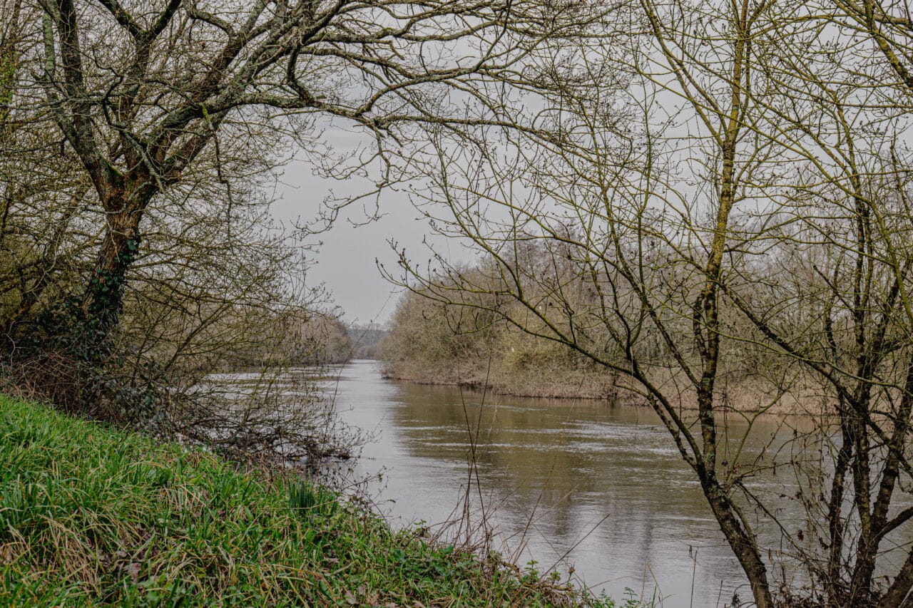 saint perreux bord de leau bauthamy madoline 8