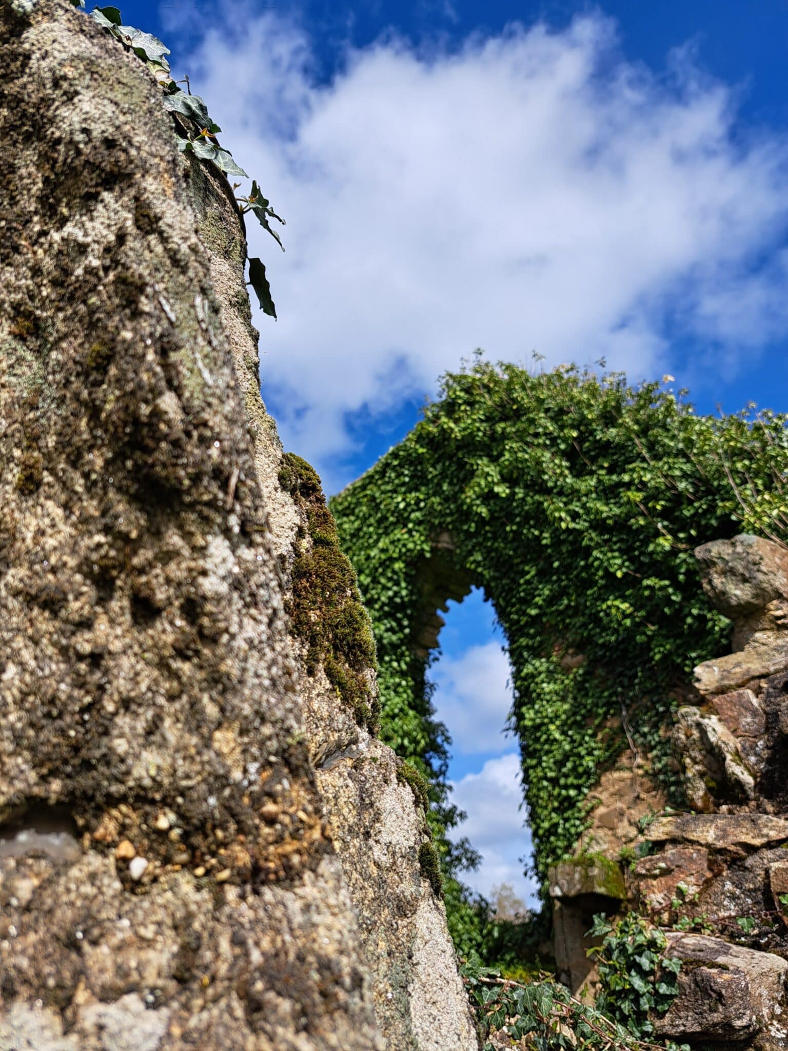 site des alliers beganne 2024 otpr 19 scaled