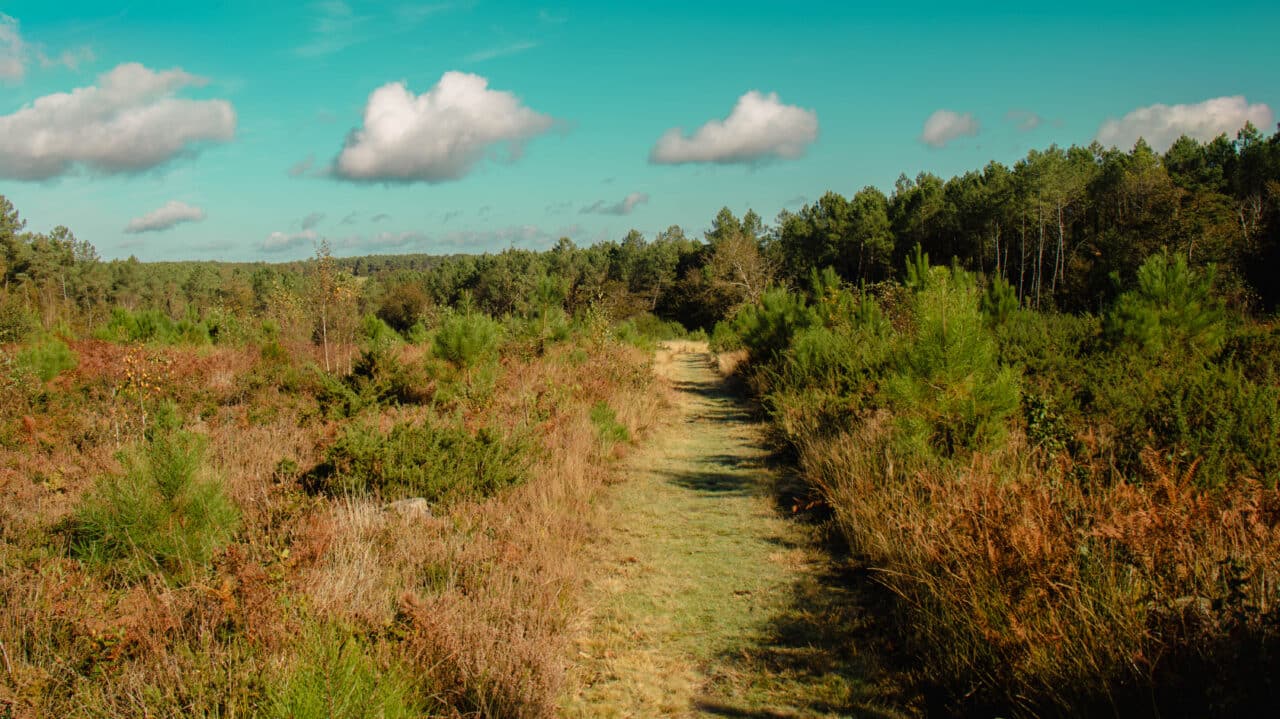 st jacut les pins la butte des moulins madoline bauthamy 37