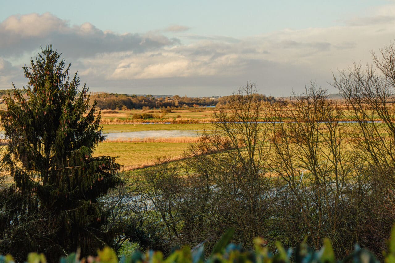 thehillac le bourg bauthamy madoline 20