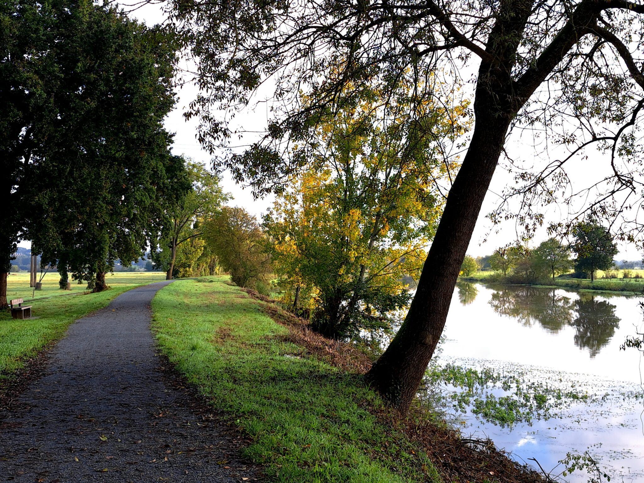 La V42 à Redon © Morgane Busnel Masson