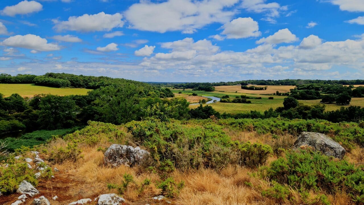 Vue depuis le rocher du Vau à Avessac © Nolwenn Barniquel