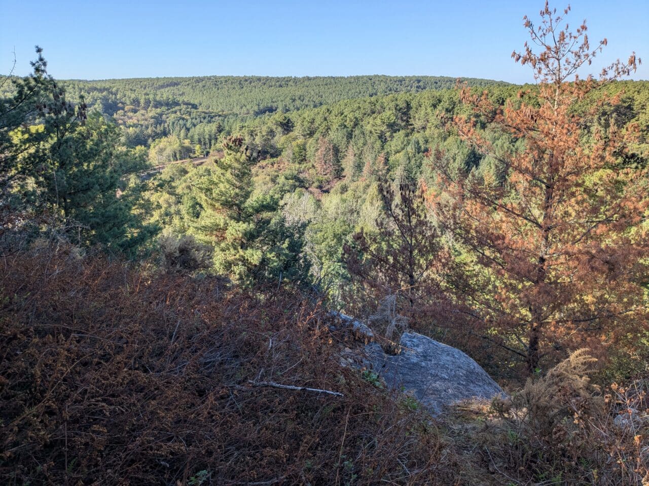 La vallée boisée des Corbinières à Langon © Morgane Busnel Masson