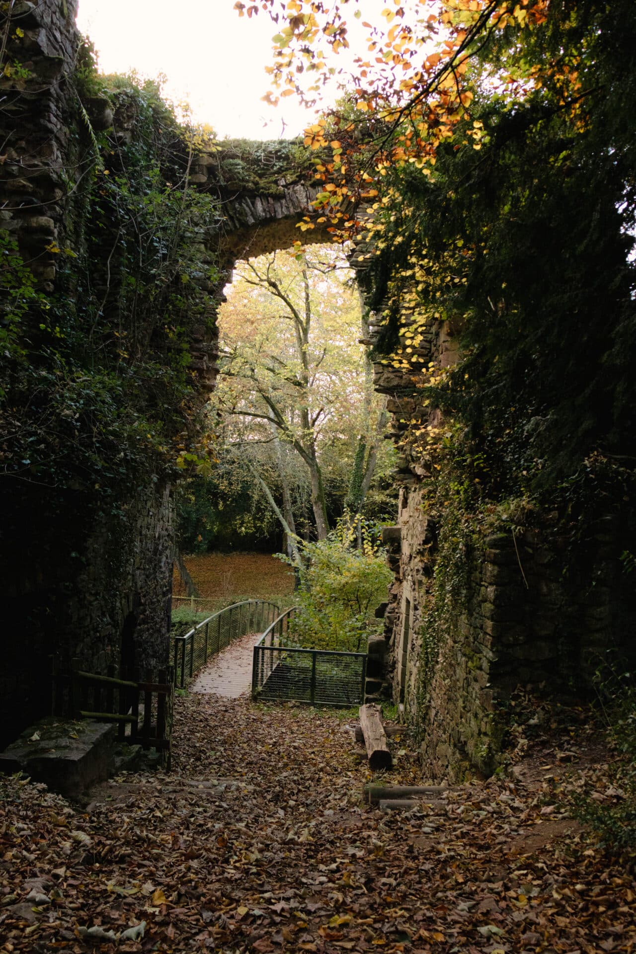 Ruines du château de Rieux, près de la Vilaine © Madoline Bauthamy