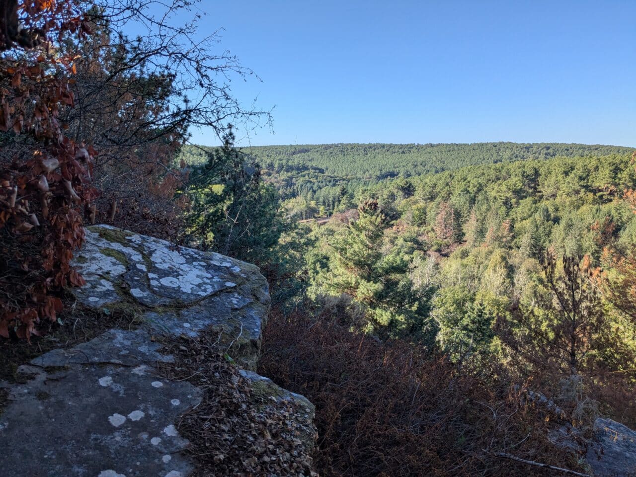 Vallée boisée des Corbinières à Langon © Morgane Busnel Masson