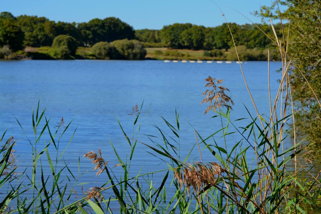 Etang Aumée © Nolwenn Barniquel