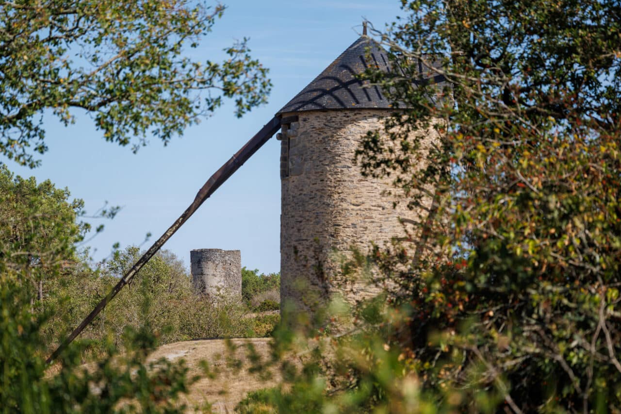 Saint-Jacut-les-Pins et les moulins © Emmanuel Berthier